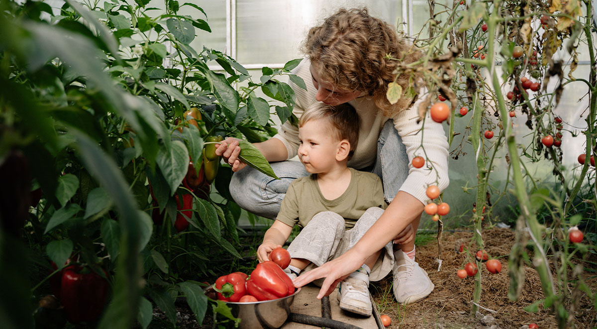 Benefits of Starting a Garden with Your Child