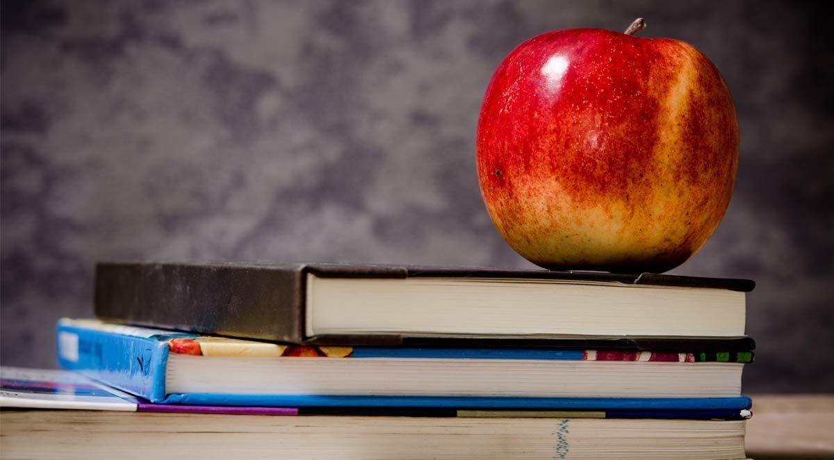 Which is Better for You? Private, Public, or Charter?